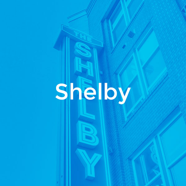 related_shelby
